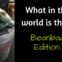 What in the world is that? Beanbag Edition