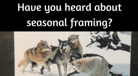 Have you heard about seasonal framing?